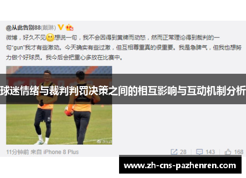 球迷情绪与裁判判罚决策之间的相互影响与互动机制分析