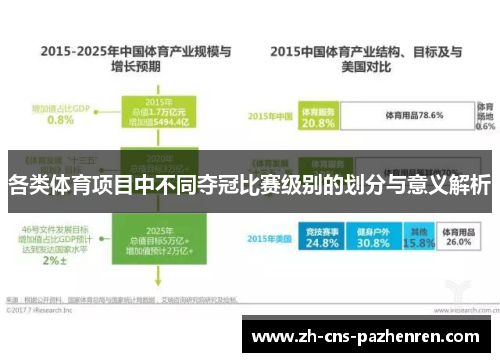 各类体育项目中不同夺冠比赛级别的划分与意义解析