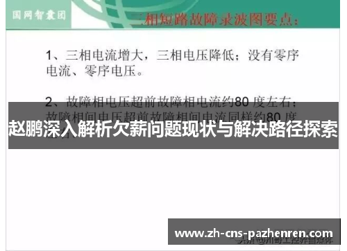 赵鹏深入解析欠薪问题现状与解决路径探索