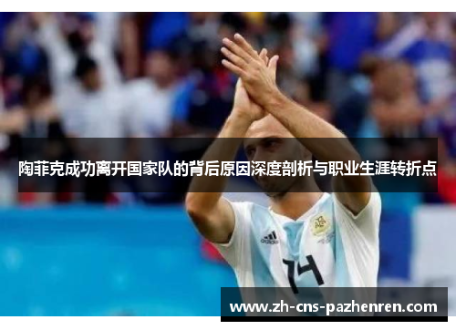 陶菲克成功离开国家队的背后原因深度剖析与职业生涯转折点
