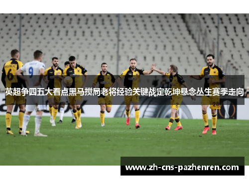 英超争四五大看点黑马搅局老将经验关键战定乾坤悬念丛生赛季走向